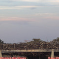 19_30-mast.jpg
