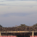 19_35-mast.jpg