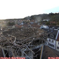 19_35-nest.jpg