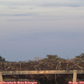 19_40-mast.jpg