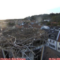 19_40-nest.jpg