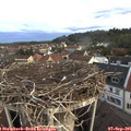 07_00-nest.jpg