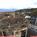 07_05-nest.jpg