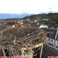 07_10-nest.jpg