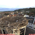 07_15-nest.jpg