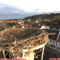 07_20-nest.jpg