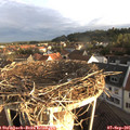 07_25-nest.jpg