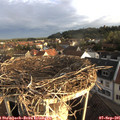 07_30-nest.jpg