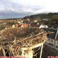 07_35-nest.jpg