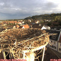 07_40-nest.jpg