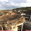 07_45-nest.jpg