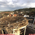 07_50-nest.jpg