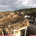 07_55-nest.jpg