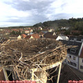 08_00-nest.jpg