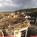 08_05-nest.jpg