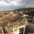 08_10-nest.jpg