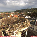 08_15-nest.jpg