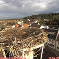 08_20-nest.jpg