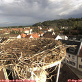 08_25-nest.jpg