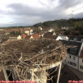 08_30-nest.jpg