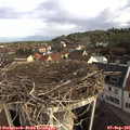 08_35-nest.jpg