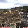 08_40-nest.jpg