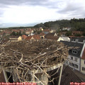 08_45-nest.jpg
