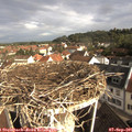 08_50-nest.jpg