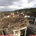 08_55-nest.jpg