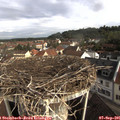 09_00-nest.jpg