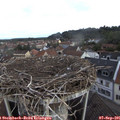09_05-nest.jpg