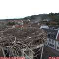09_10-nest.jpg