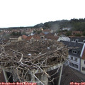 09_15-nest.jpg