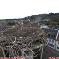 09_20-nest.jpg