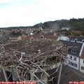 09_30-nest.jpg