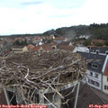 09_35-nest.jpg