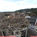 09_40-nest.jpg