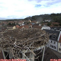 09_45-nest.jpg