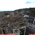 09_50-nest.jpg