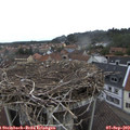 10_05-nest.jpg