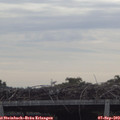 10_15-mast.jpg