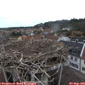 10_15-nest.jpg