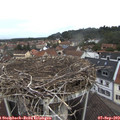 10_40-nest.jpg