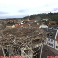 10_55-nest.jpg