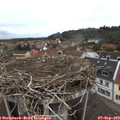 11_05-nest.jpg