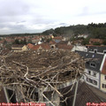 11_15-nest.jpg