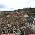 11_25-nest.jpg
