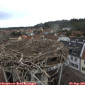 11_35-nest.jpg