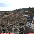 11_40-nest.jpg