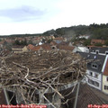11_45-nest.jpg